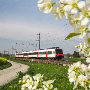 Eisenbahnfan_Schweiz