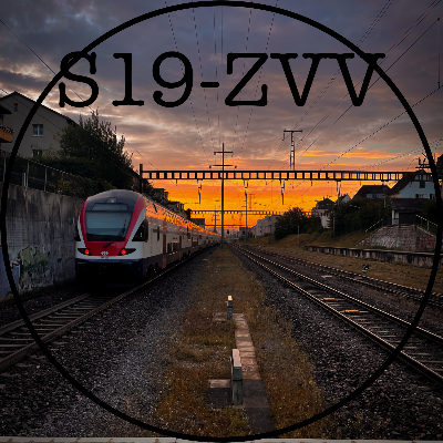 S19_zvv