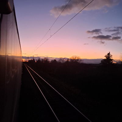 Immagine del profilo